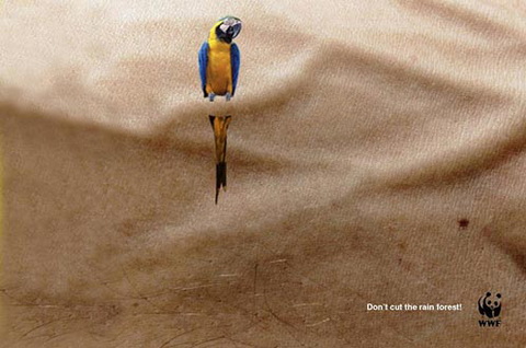 WWF - Don't cut the rain forest..jpg